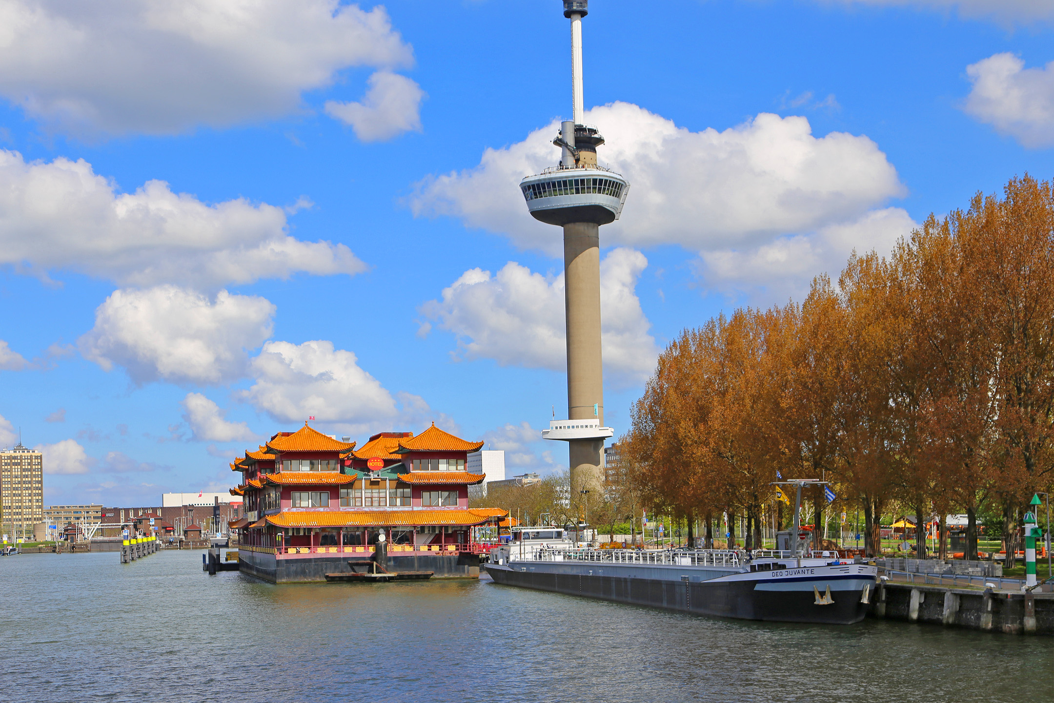 Celebrating 64 Years of Rotterdam’s Icon: The Euromast